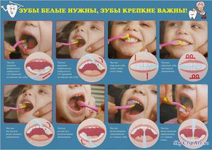 Во сколько лет приучить ребенка чистить зубы