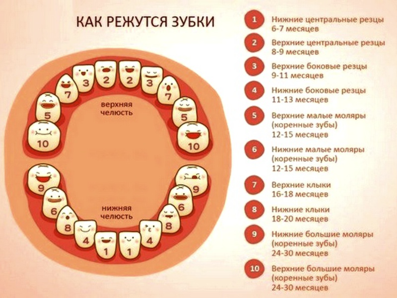 Процесс прорезывания зубов