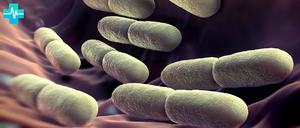 Йодофильные бактерии у ребенка