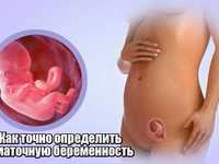 Как быть при диагностировании внематочной беременности