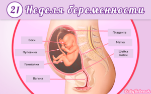 Как протекает беременность 