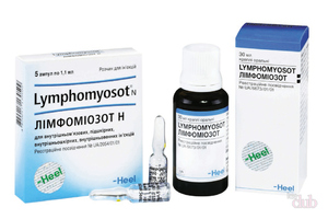 Примение препарата Лимфомиозот 
