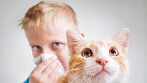 Советы родителям при аллергии у ребенка