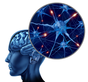  Воздействие на мозг человека