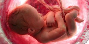 Может ли наступить беременность сразу после аборта