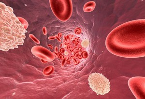 Лейкоцитоз в анализе крови