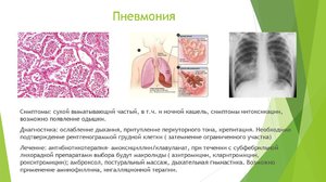 Какие формы заболевания у пневмонии