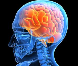 Ращвитие гипоксии головного мозга