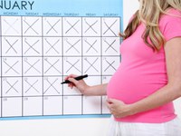 Как считать недели беременности
