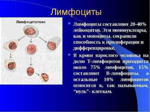 Как снизить повышенный уровень лимфоцитов