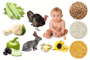 Для сбалансированного питания важно наличие белка, жира и углеводов в рационе